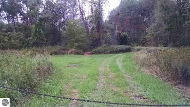 0 N Van Horn Rd, Au Gres, MI 48703 - photo 2