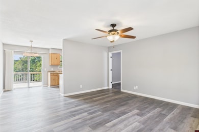 96 Westview Rd, Midway, AR 72651 - photo 3