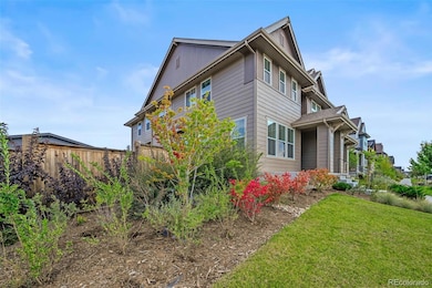 6374 N Fulton St, Denver, CO 80238 - photo 4