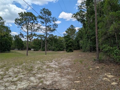 TBD SW 93rd Ln, Dunnellon, FL 34431 - photo 4