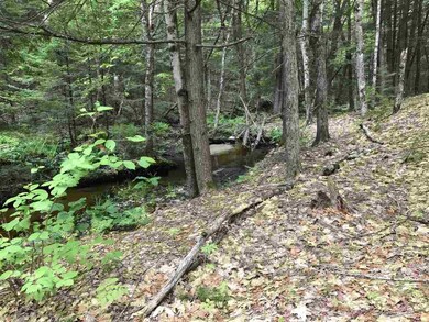 403 Route 25 E, Ossipee, NH 03814 - photo 4