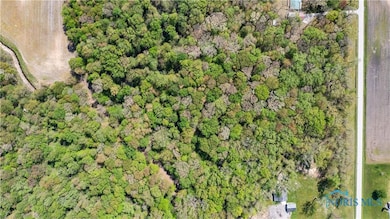 0 Manore Lot A Rd unit 6130402, Grand Rapids, OH 43522 - photo 3