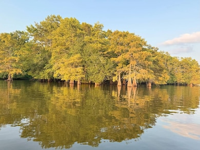 0 Timberland unit 11542662, Many, LA 71449 - photo 4