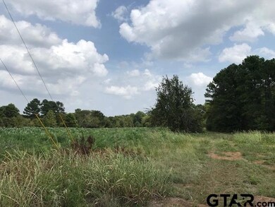 10605 County Road 210, Tyler, TX 75707 - photo 2
