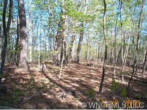 00 Seay Rd, Candler, NC 28715 - photo 3