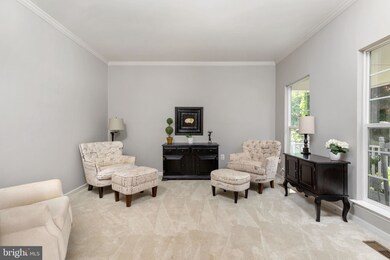 501 E Skyline Dr, Purcellville, VA 20132 - photo 5