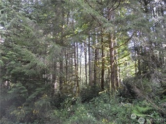 11511 Lake Josephine Ave, Anderson Island, WA 98303 - photo 3