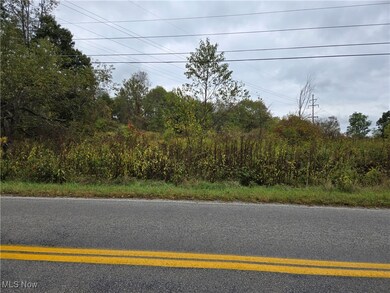 V/L Parkman Rd, Windham, OH 44288 - photo 2