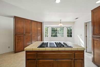 16593 Vladimir Ct, Redding, CA 96001 - photo 4