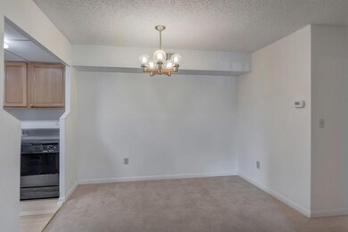 136 Green Turtle Ln unit 8, Charlottesville, VA 22901 - photo 5