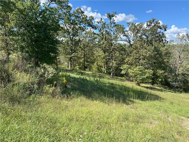 13677 Ledge Rock Ln unit Lot 10, Omaha, AR 72662 - photo 4