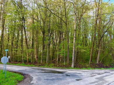 Looking South from CWL Drive with the Br