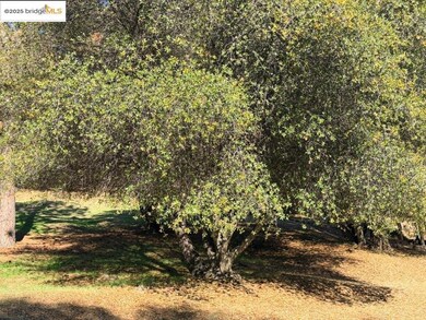 unlisted-address, Groveland, CA 95321 - photo 6