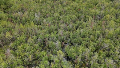 0 Giles Rd unit LotWP002 24182710, Linden, NC 28356 - photo 7