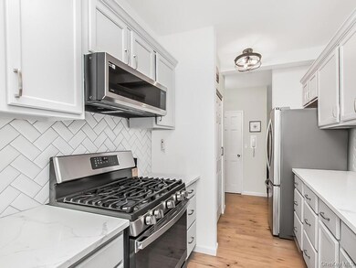 10 Lake St unit 2F, White Plains, NY 10603 - photo 5