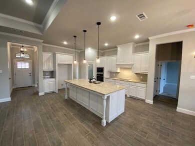 1016 Laramie Rd, Poolville, TX 76487 - photo 5