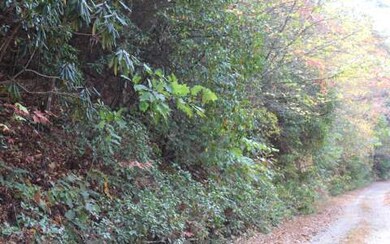 6.15 Clay Cir, Morganton, GA 30560 - photo 2