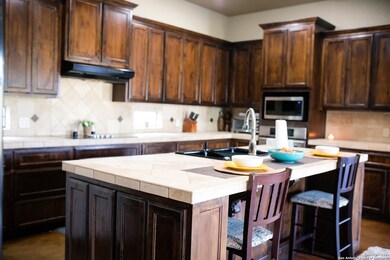 11403 Lago Vista, Helotes, TX 78023 - photo 6