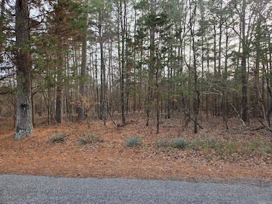 14 acres off Verkler Ln, Searcy, AR 72143 - photo 2