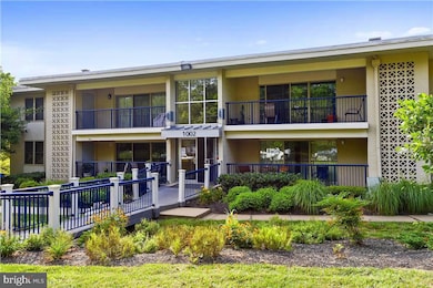 1002 Primrose Rd, Annapolis, MD 21403 - photo 5