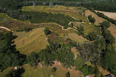 2085 County Road 3341, Brundidge, AL 36010 - photo 3