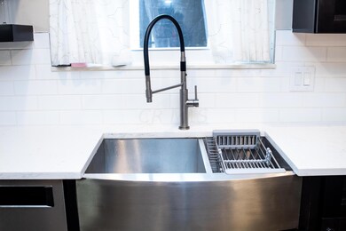 Dual Stainless Steel Sinks