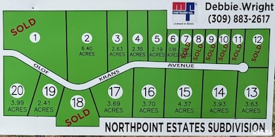 2103 Olof Krans Ave, Galva, IL 61434 - photo 3