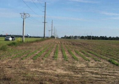 0 Foley Expy unit 562796, Foley, AL 36535 - photo 6