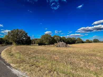 00 Lcr 890, Jewett, TX 75846 - photo 2