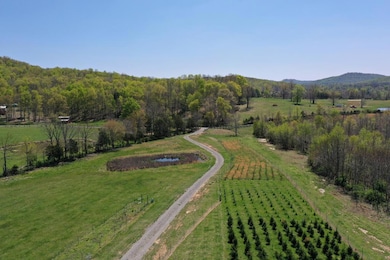 127 Rushing Springs Rd, Monterey, TN 38574 - photo 5