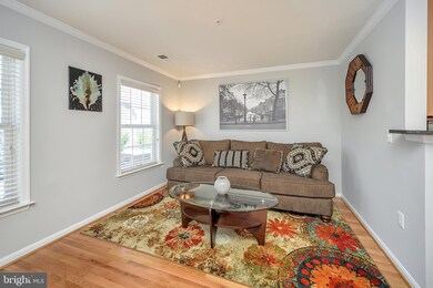 2826 Chinkapin Oak Ln, Woodbridge, VA 22191 - photo 6