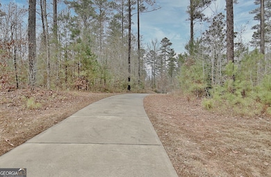 1109 Old Corinth Rd, Newnan, GA 30263 - photo 3