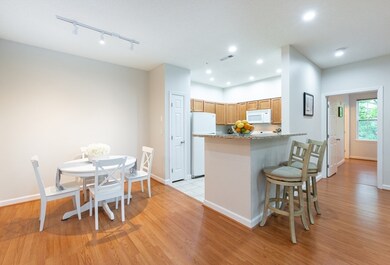 Spicket Commons unit 201, Methuen, MA 01844 - photo 5