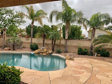 Backyard oasis!