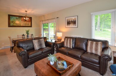 2101 Fairway Woods, Roseland, VA 22967 - photo 5