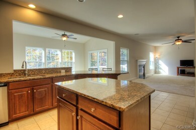 7437 Wild Senna Terrace, Moseley, VA 23120 - photo 6