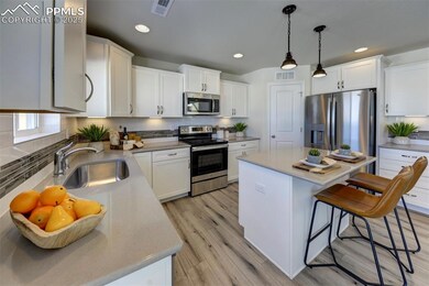 8250 Henzlee Place, Falcon, CO 80831 - photo 5