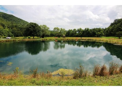 LARGE FISH POND