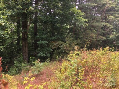 0 Crossings Dr S unit Lot 5A, Marion, NC 28752 - photo 4