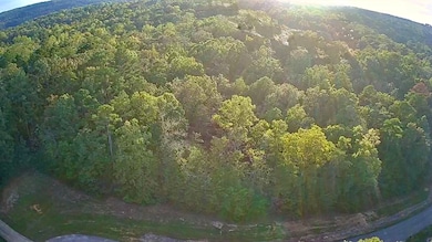 LOT 232 Stoney Point Rd, Double Springs, AL 35553 - photo 3