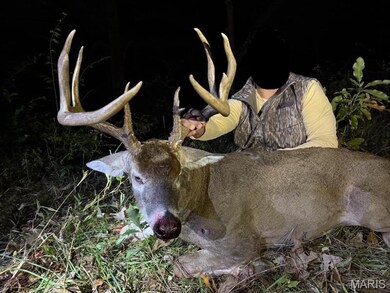 0 Highway D - Tract 1 (77 2+ - Acres), Eolia, MO 63344 - photo 7