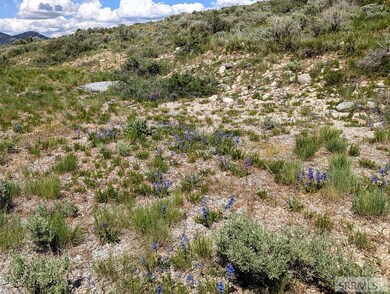 TBD Selkirk Rd, Lava Hot Springs, ID 83246 - photo 4
