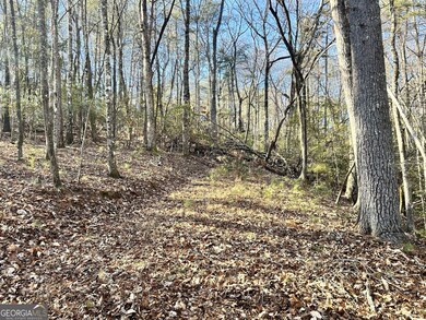 0 Bahn Innsbruck unit 10656187, Helen, GA 30545 - photo 7