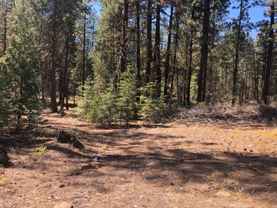 0 Kodiak Ln unit lot 500 220132728, Bonanza, OR 97623 - photo 7
