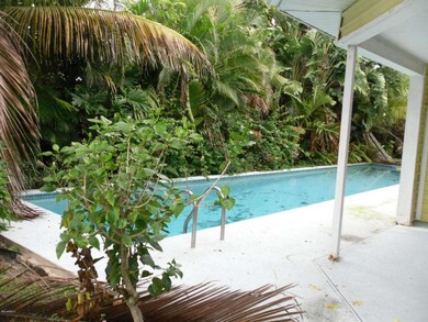100 Poinsetta_pool 2