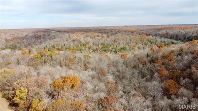 Tract 2 Polston Ln, Hickory Grove Township, MO 63357 - photo 4