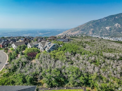 View of mountain background