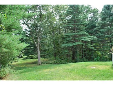 Yard/Garden.