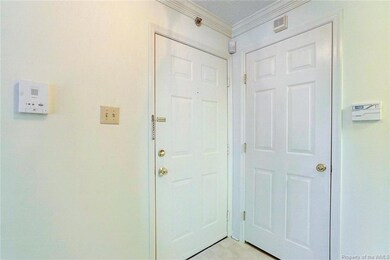 3106 Wallaby Trace, Henrico, VA 23294 - photo 5