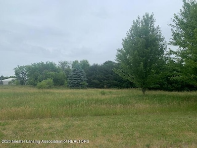 2848 Trillium Creek Way, Saint Johns, MI 48879 - photo 4